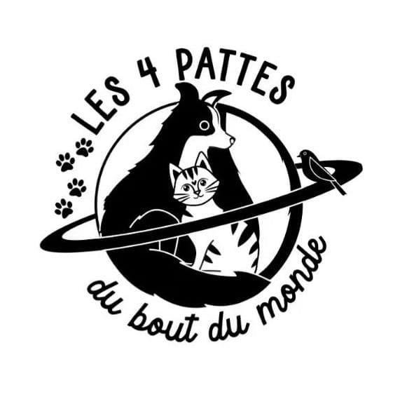 les4pattesdubdm.com